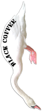 nakahaku